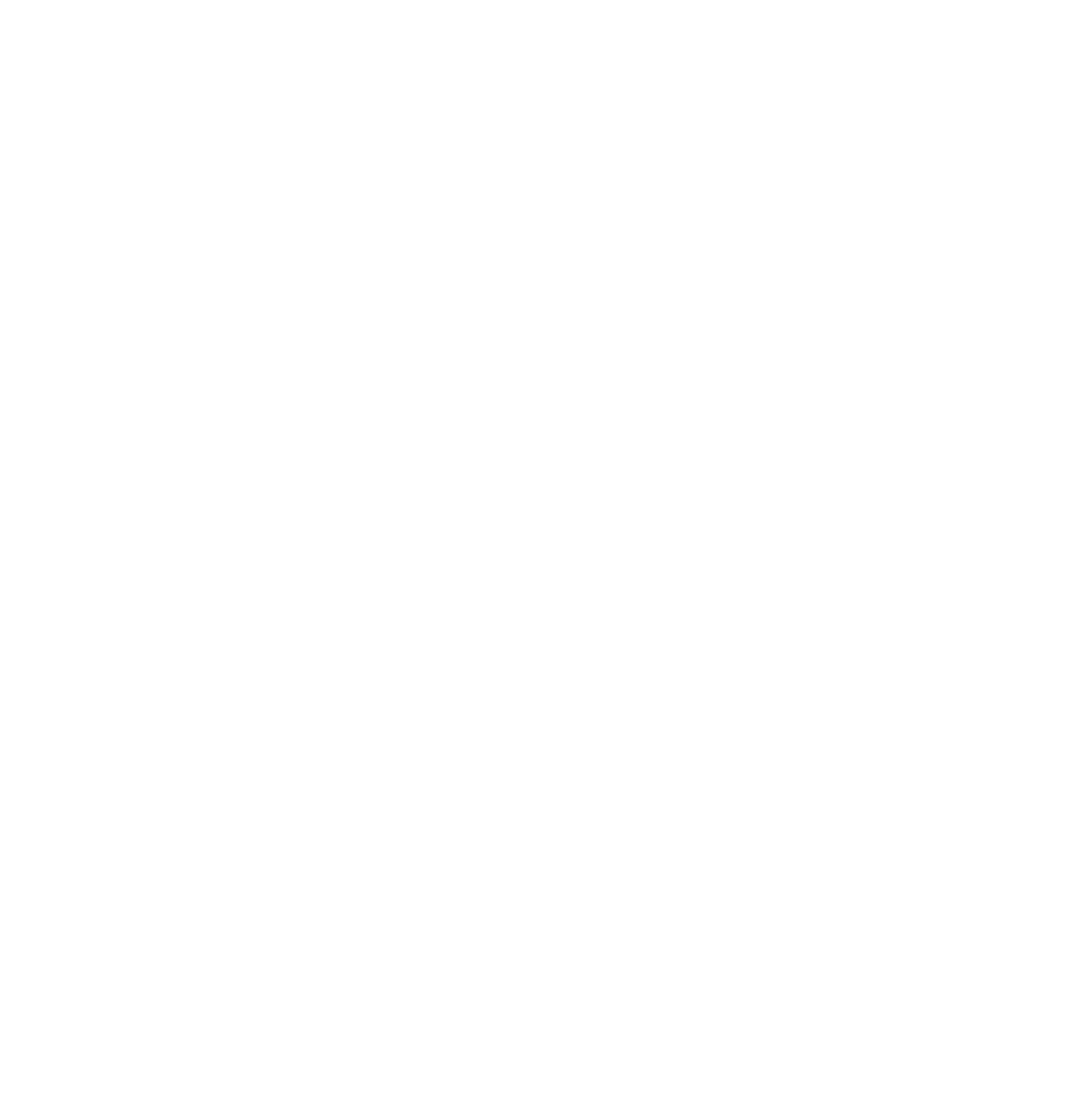 ECS-Logo-reduit-blanc (1) ECS